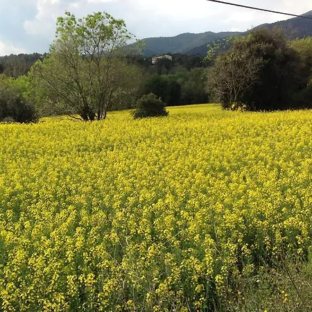 Panxa Vakantiehuis Sant Pere de Vilamajor